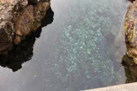 Thingvellir Nationalpark