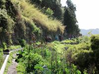 Levada-Wanderung