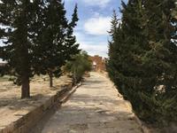 109 Ruinenstadt Sbeitla