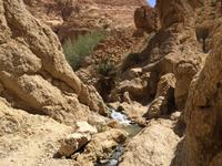 146 Bergoase Chebika