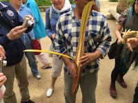 189 in der Oase Tozeur