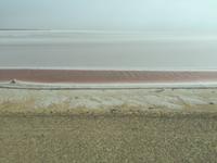 219 Salzsee Chott el Djerid
