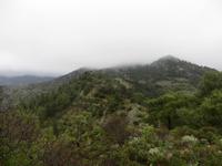 Wanderung zwischen Scheunendachkirchen