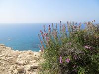 Küstenwanderung nach Pissouri