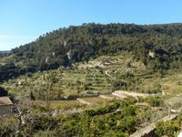 Mallorca Insel der Träume 05.04.-12.04.15