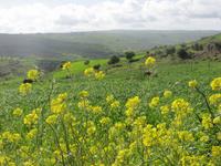 Wanderung auf dem Poseidon-Weg