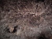 Stalagmiten & Stalagtiten