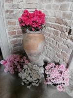 Isola del Deserto-Blumenschmuck