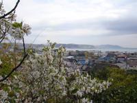 Blick auf den Pazifik