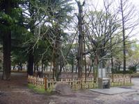 Friedenspark in Hiroshima