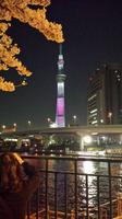 Skytree Tokio