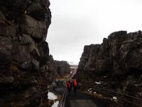 im Thingvellir Nationalpark