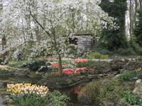 Keukenhof