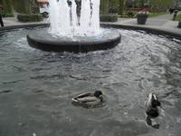 Keukenhof