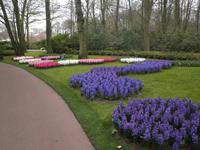 Keukenhof