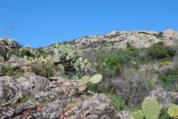 Landschaft Desert des Agriates