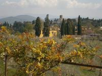Ausblicke aus dem Boboli Garten
