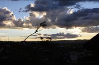 Sonnenuntergang über Windhoek