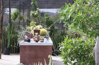 Pause in einer wunderschönen Gärtnerei