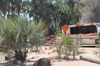 Gartenanlage am Epupa-Wasserfall