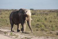 Etosha-Nationalpark