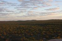 Ausblick von der Etosha Safari Lodge