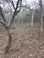 Wanderung im Naturpark El Cubano