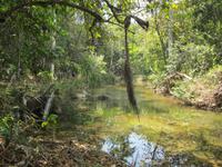 Wanderung im Naturpark El Cubano
