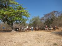Ausflug hoch zu Roß
