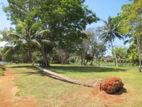 auf der Krokodilfarm am Schatzsee