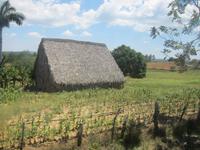 Radtour von San Diego nach Vinales
