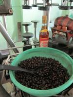 Pinar del Rio - Rumfabrik