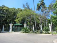 Oldtimer-Rundfahrt in Havanna