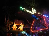 Show Tropicana in Havanna