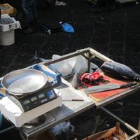 IMG_0061