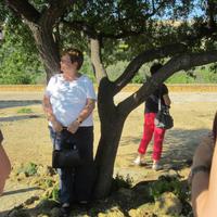 IMG_0231
