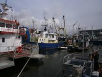 Hafen von Urk in der Provinz Flevoland,