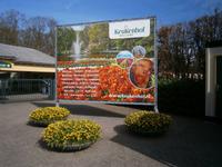 Zentrales Thema der Ausstellung 2015, Vincent van Gogh