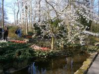 Immer wieder schön anzuschauen