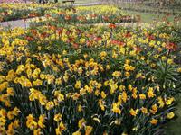 Eine weitere schön gestaltete Fläche