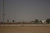 Kamelrennstrecke in Dubai  (2)