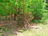 Floriade 2012 in Venlo