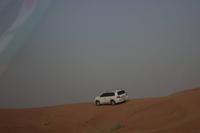 Wüstensafari in Dubai (9)