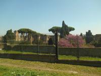 Rom (Caracalla-Thermen)