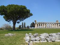 Paestum (Cerestempel)