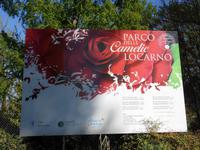 Kamelienpark in Locarno