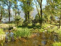 Kamelienpark in Locarno