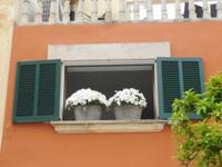 Stillleben in Alcudia