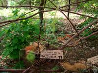 Floriade 2012 in Venlo