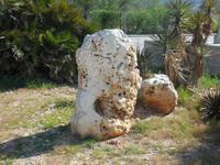 Bizzarre Formen im Gafen von Andratx